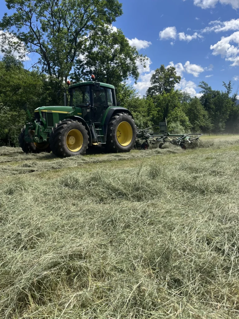 Ein Traktor wendet oder verteilt Heu auf einer Wiese, umgeben von Bäumen und blauem Himmel.