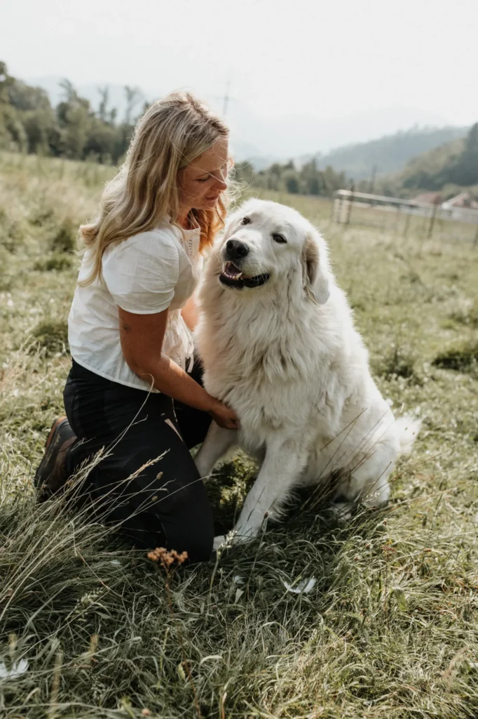 Eine Person kniet auf einer Wiese neben einem großen weißen Herdenschtzhund und streichelt ihn.